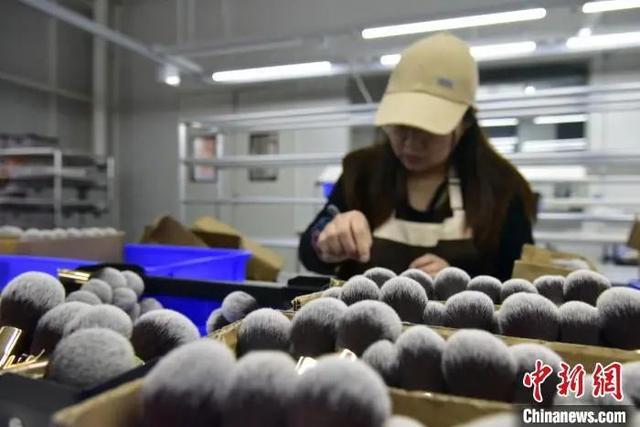 沧州真有“两把刷子”！冰球突破豪华版手机版(图2)
