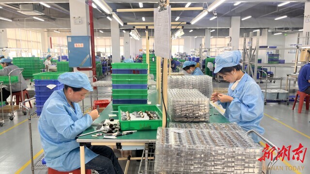 业用小小化妆刷“破圈” 湖南日报冰球突破技巧从沿海到内陆炎陵一企(图2)